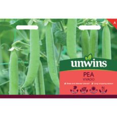 5023377033476 1 Unwins Pea Vivado Seeds.jpg